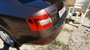 Удаление царапин на бампере OctaviaA7