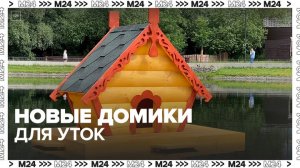 Сотрудники Мосводостока привезли домики для уток на столичные водоемы - Москва 24