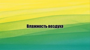 ФИЛОДЕНДРОН в комнатном цветоводстве. Виды, уход в домашних условиях