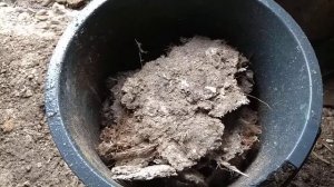 Азотное удобрение из куриного помета