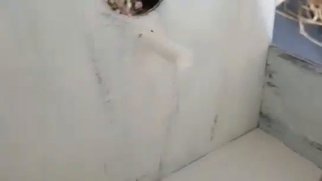 Пасхальный скворечник. Яйца из гипса своими руками.... смотреть онлайн