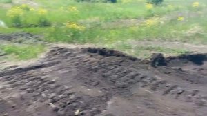ДТ-75 Ровняем полевые дороги.
