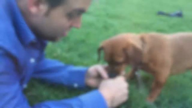 The Denver Sonnets Project, No. 131: Josh Nelson смотреть онлайн