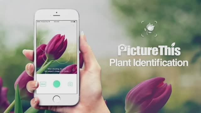 PictureThis - приложение для определения растен