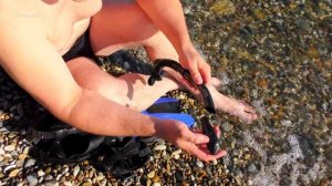 Маска трубка и ласты для плавания из Китая