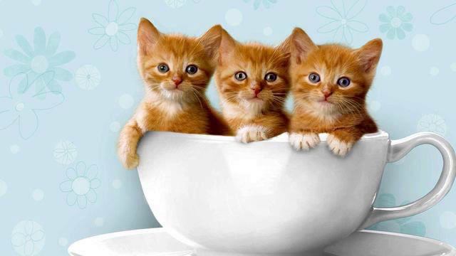 Музыка живая. Просто хит! Полет души! смотреть онлайн