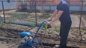 Мотокультиватор крот в деле ...