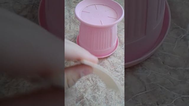 |Лайфхак для кошек и котов| ULYASHA KROY| смотреть онлайн