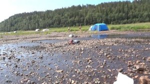 Умба-Варзуга ловля горбуши. Икра, горбуша, удачная рыбалка!