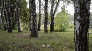 СЛУЧАЙ В ПОЕЗДЕ – НЕСКУЧНАЯ ПОЕЗДКА! Истории измен из жизни. Жизненные истории. Аудио рассказы