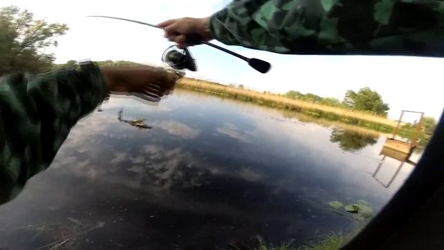 ОКУНЯ РВУТ СИЛИКОН РЫБАЛКА С БЕРЕГА ЗАЛИВЫ РЕКИ ПСЕЛ УЛЬТРАЛАЙТ РУЛИТ В НЕРЕСТ НА ЧТО КЛЮЕТ ОКУНЬ смотреть онлайн