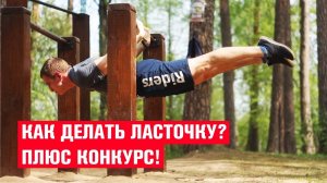 ВОРКАУТ ОБУЧАЛКА - КАК ДЕЛАТЬ ЛАСТОЧКУ на турнике / ХИЩНИКИ workout team