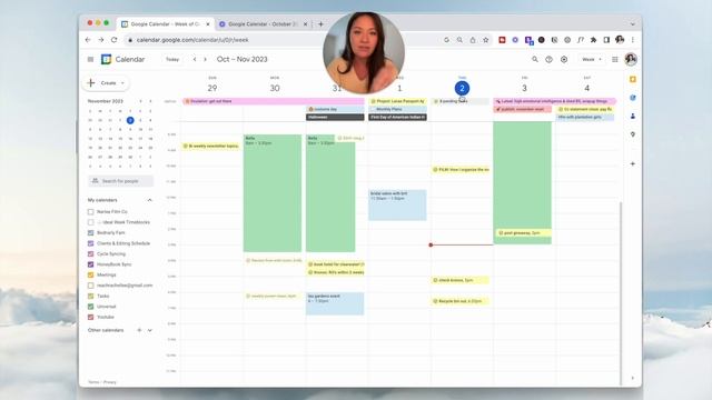 ? November Monthly Reset | birthday reflections, goals, cycle syncing смотреть онлайн