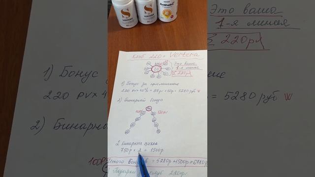 Разбираем клуб 220+ в маркетинг плане Вертера. Как покупать в Вертера бесплатно и получать подарки