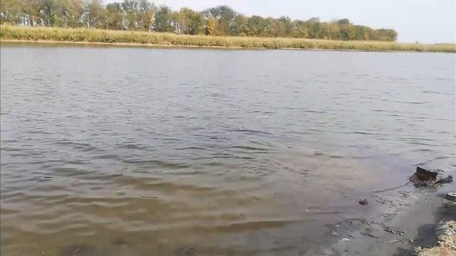 Крутые находки на поисковый магнит! Что хранит река Калалы.