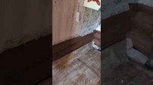 Деревня Рязанская область Шацкий раайон