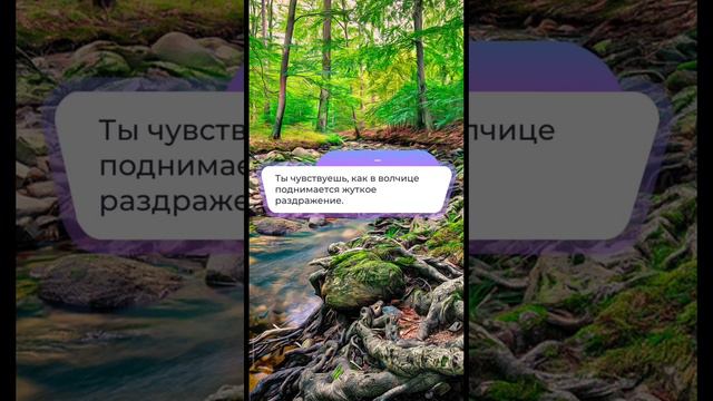 Инстинкт альфы. Книга 1. Глава 8.#Альфа #Тайна #Экшн #Паранормальное #Сверхъестественное #гайд смотреть онлайн