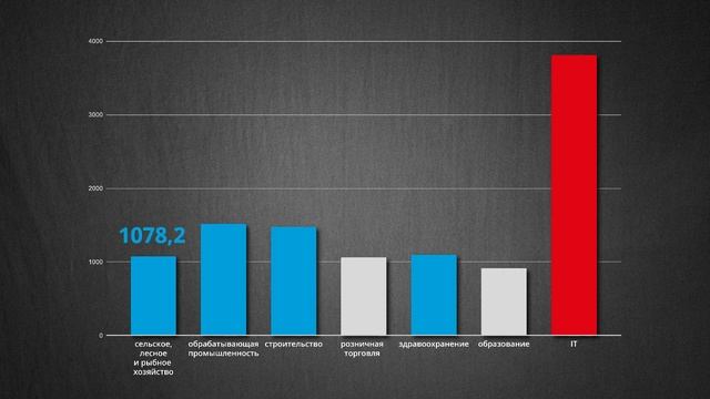 Сколько на самом деле платят беларусам? #беларусь #зарплата смотреть онлайн