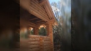 Беседка из оцилиндрованного бревна 3Х5