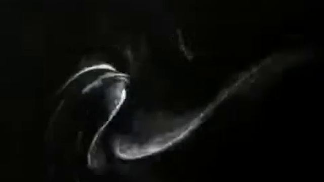 Шарль Камиль Сен Санс -Лебедь. КЛАССИКА МУЗЫКА смотреть онлайн