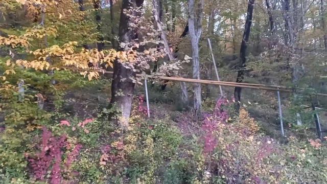 1,75 млн за участок в Сергей Поле. Недорого. До центра Сочи 20 мин.