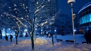 Футаж Зима. Заснеженный Город, Зима в Городе, Снег в Городе, Красивая Зима, Городские Зимние Пейзаж