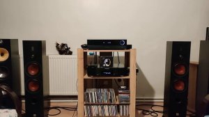 Dali Ikon 6 MK2 & Marantz CD 6006 ?