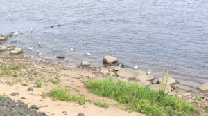 Рыбинск (июль 2023г.)