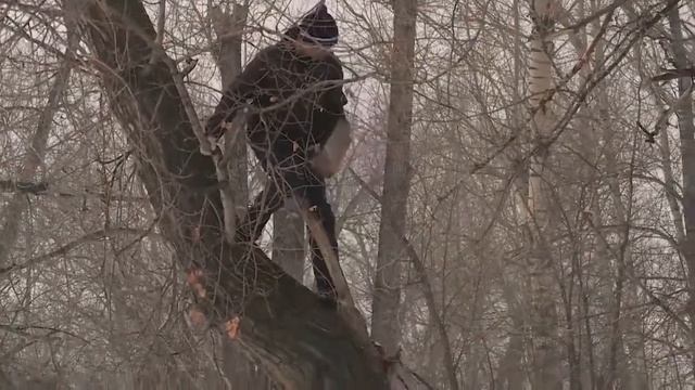 Команда «фас»: как воспитать собаку-сторожа? смотреть онлайн