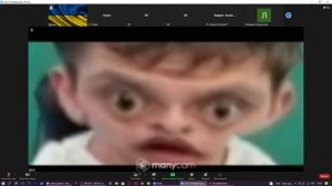 СРЫВ УРОКОВ В ЗУМ/РЕЙД УРОКОВ ZOOM