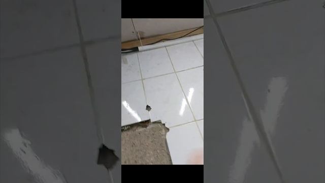 Мастерская мечты от самого начала