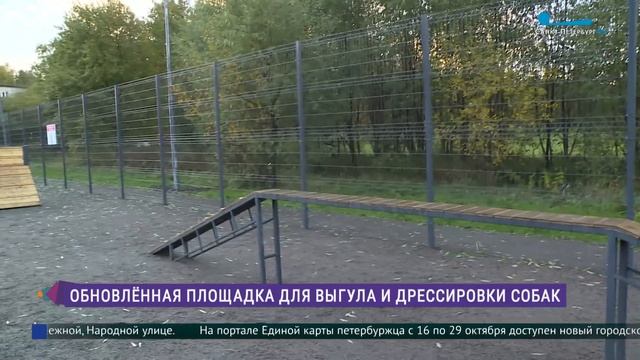 Обновлённая площадка для выгула и дрессировки собак открылась на улице Верности смотреть онлайн