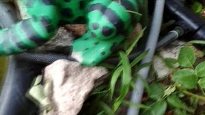 Песочный ФИЛЬТР для ПРУДА. Часть 2