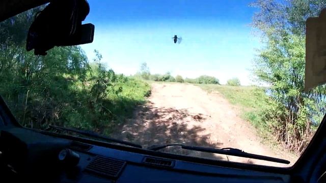 Поездка в Сыктывкар. Катаемся на лодке. Встретили лосяша. смотреть онлайн