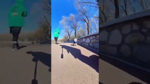 Мопс по кличке Кокос - 2 ч Собака на скейте!