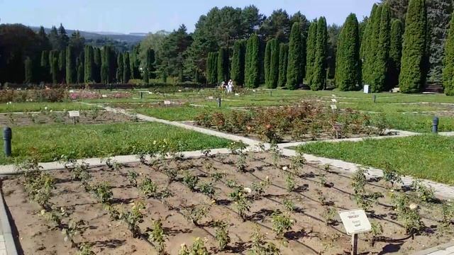 Долина Роз.КИСЛОВОДСК
