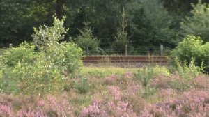 Heineken Ontvoering (DEEL-1).