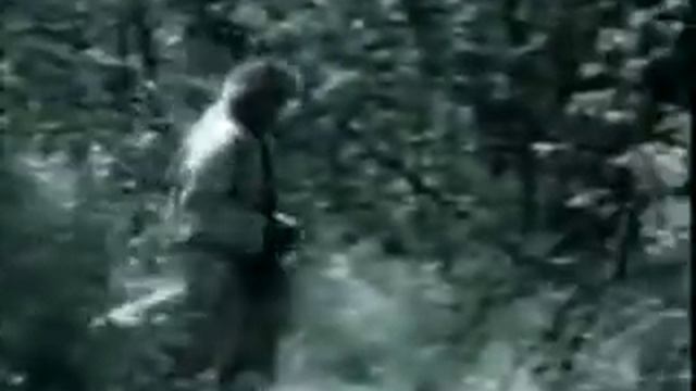 Томан _ Toman (Башкирская народная песня _ The bashkir national song)
