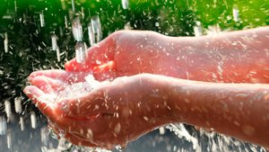 дождевая вода