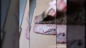 Обзор на гидрофобизатор марки Оптимист