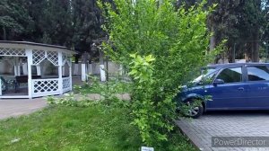 Дом отдыха Челюскинцев. Обзор. Абхазия.Гагра
