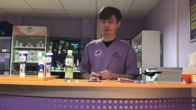 Гігієна ротової порожнини у собак та котів смотреть онлайн