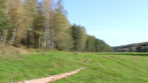 река Ресса Калужская область