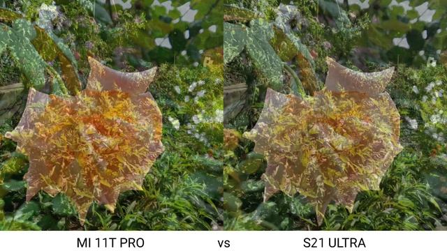 Xiaomi Mi 11T Pro vs Samsung Galaxy S21 Ultra Camera Test смотреть онлайн
