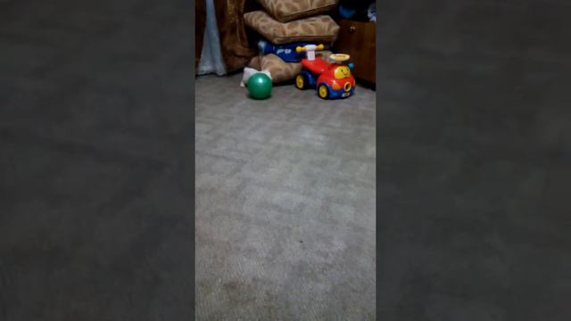 Любимый подарил кролика на 8Марта смотреть онлайн