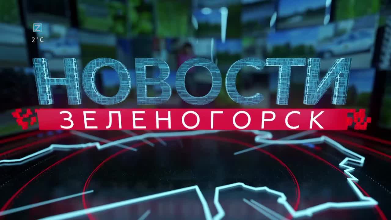 Новости зеленогорска твин