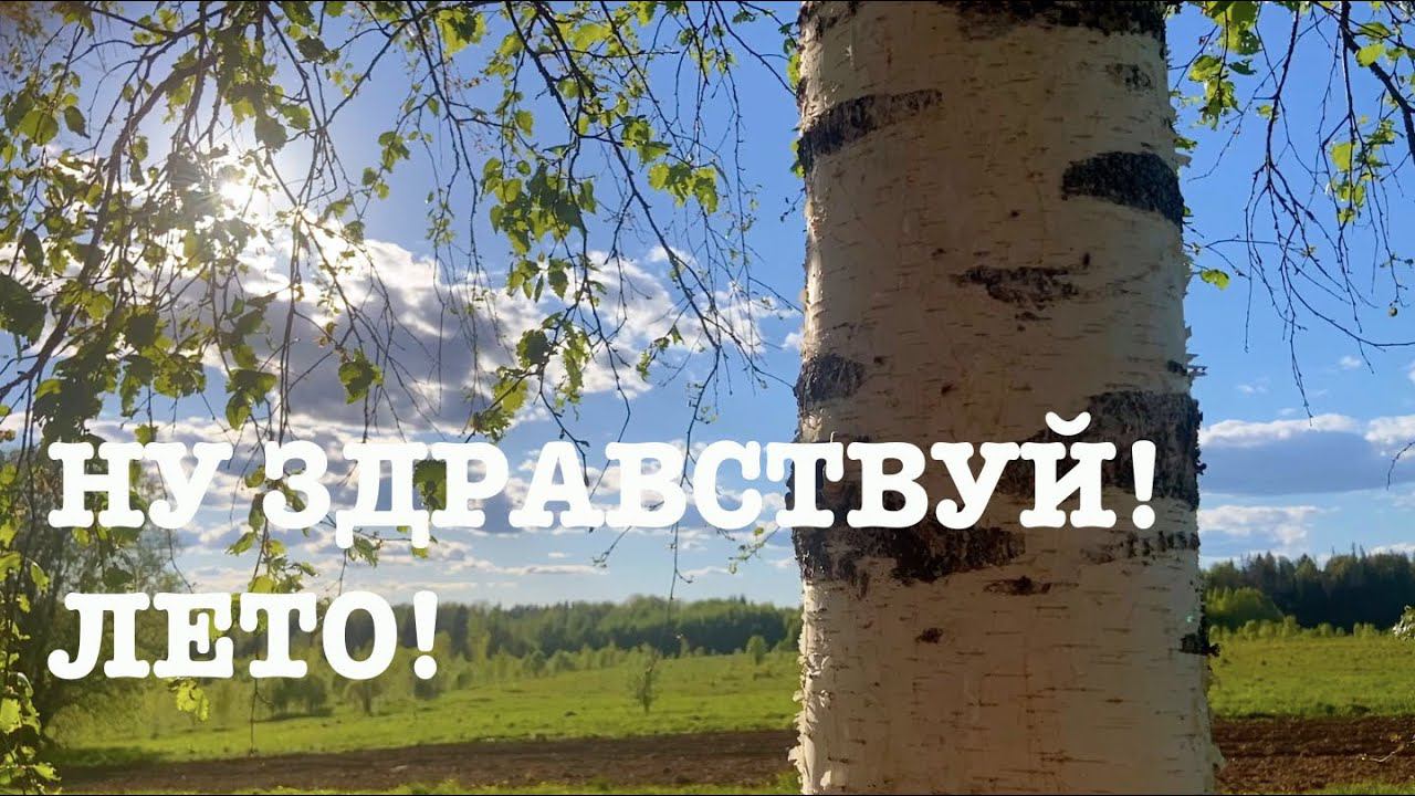 #149. С огородом покончено! К жаре готовы! [Жизнь на своей земле] смотреть онлайн