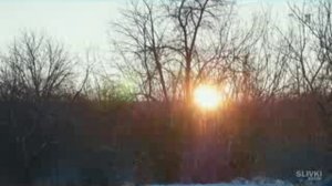 20 ЛИТРОВ БЕНЗИНА + ПЕТАРДА!