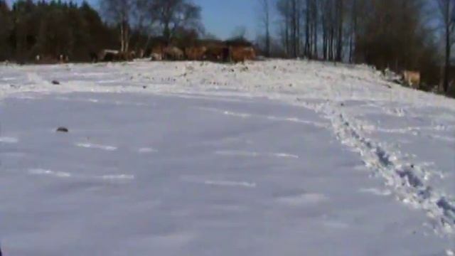 Ski doo V1000 смотреть онлайн