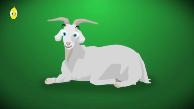 ♫ Для улучшения настроения El Pollito Pio. Весёлая итальянская песенка.